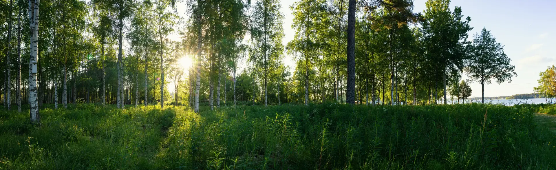 Specialister på frånluftsventilation i Linköping